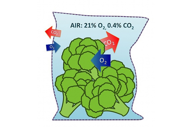 激光打孔??氣調(diào)果蔬保鮮包裝運(yùn)用方案(圖1)
