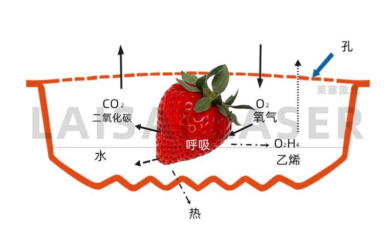 激光打孔??氣調(diào)果蔬保鮮包裝運(yùn)用方案